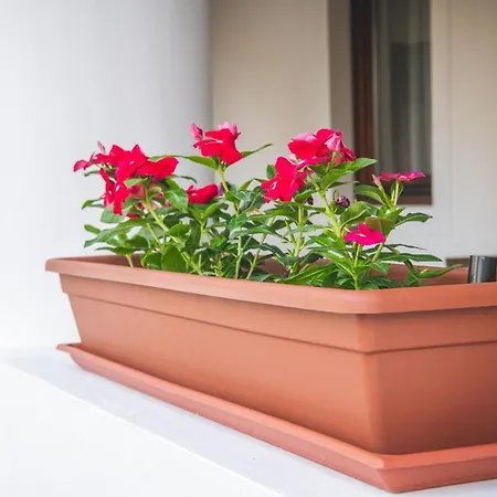 Vitorlas Vendeghaz * Ревфюлёп