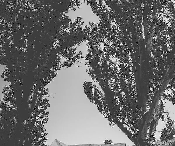 Apartment Vitorlas Vendeghaz *